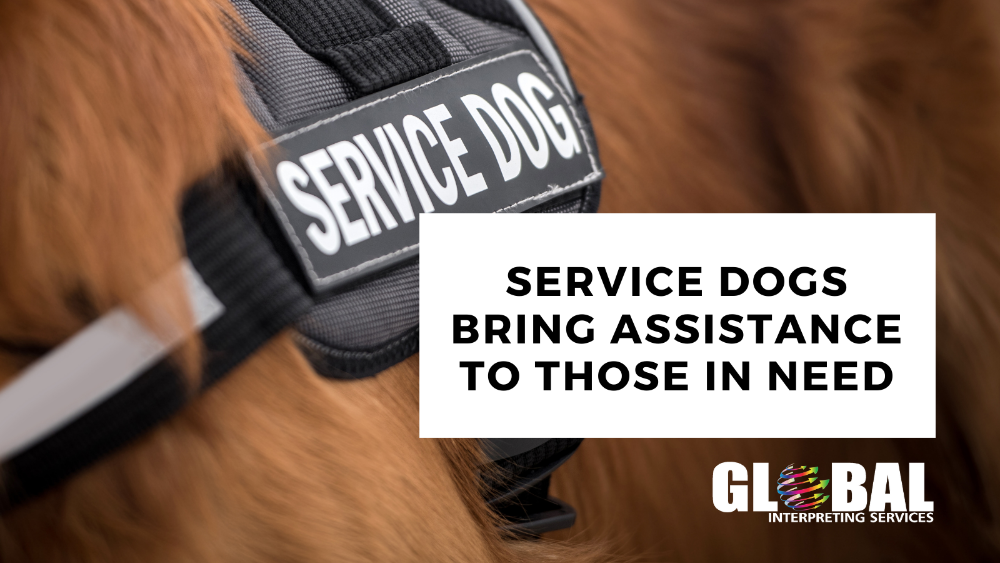 Service Dogs Bring Assistance to Those in Need